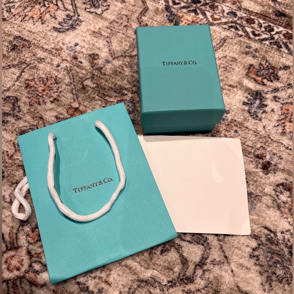 Tiffany & Co. Teal Bag and Box Set
